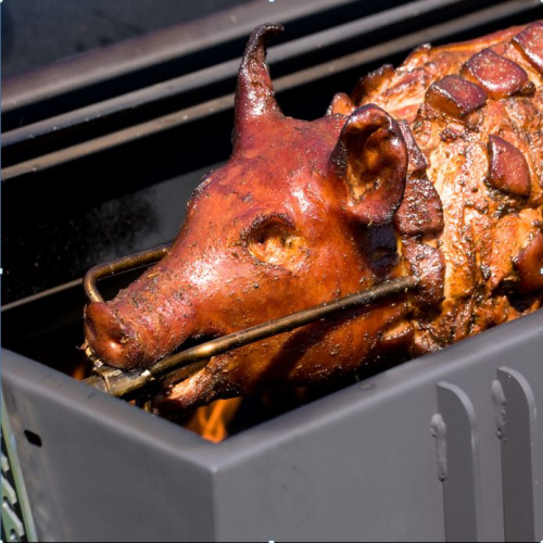 Image: Tradiční Jirenské prase