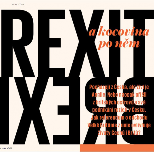 Image: Brexit a kocovina po něm